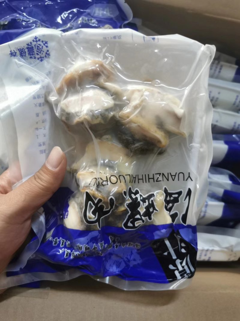 海螺肉熟冻托盘装五头六头都有货，还有切片