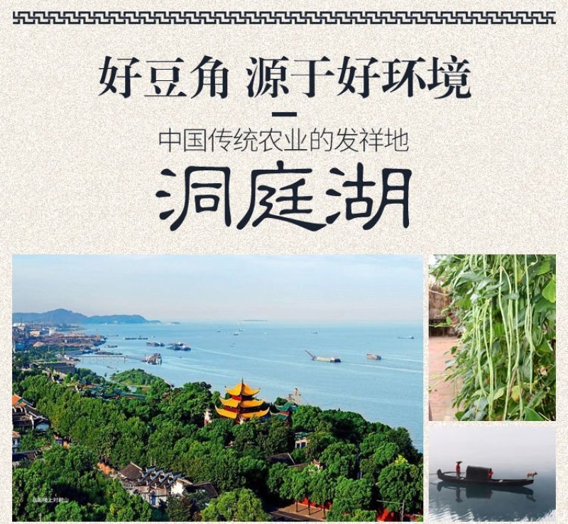 酸豆角长豆角泡豇豆湖南特产豆角丁
