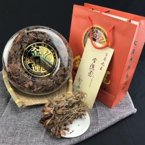 福建南靖基地直销金线莲干品货源充足