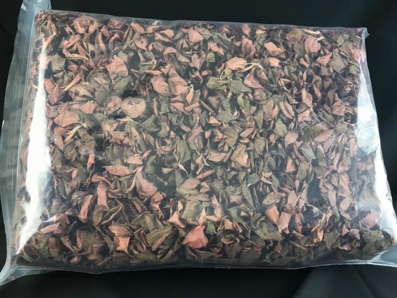 福建南靖基地直销金线莲干品货源充足