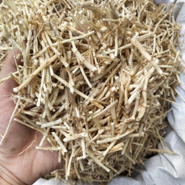 白茅根白茅根白茅根靓