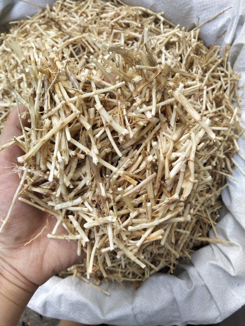白茅根白茅根白茅根靓
