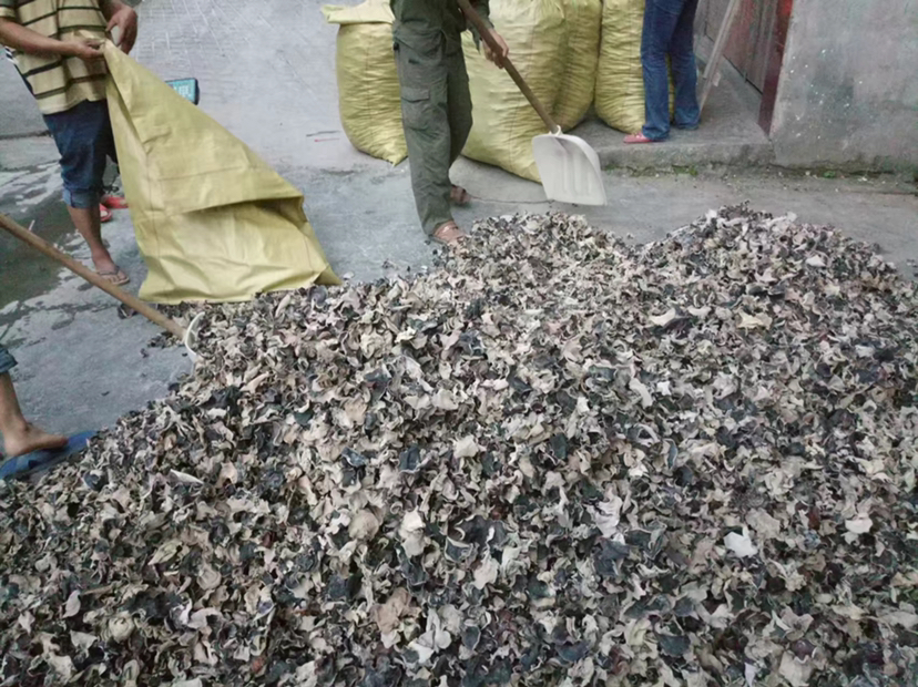 搅拌机正在将黑木耳与清水混合打成浆,操作台整洁有序 黑木耳打浆过程图