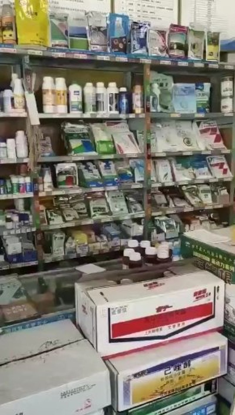 杀菌剂多菌灵果树病害倒秧赤霉稻瘟纹枯病菌核病