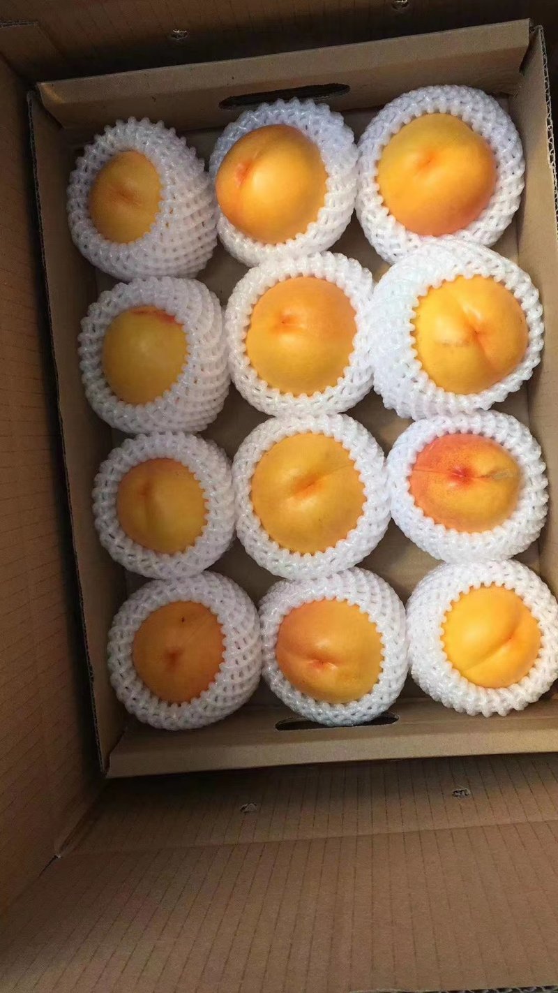 北京京谷农荟果品蔬菜专业合作社可常年供应各种高中低档精品