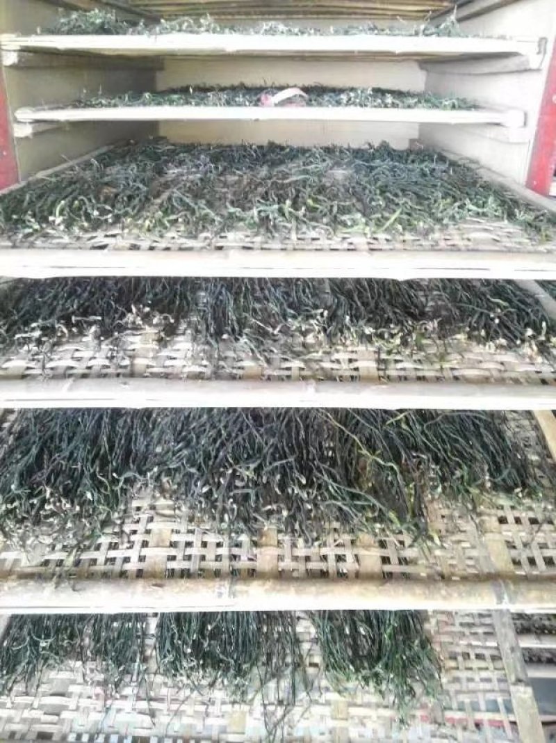 2020年烘干长豆角，长豇豆干豆角