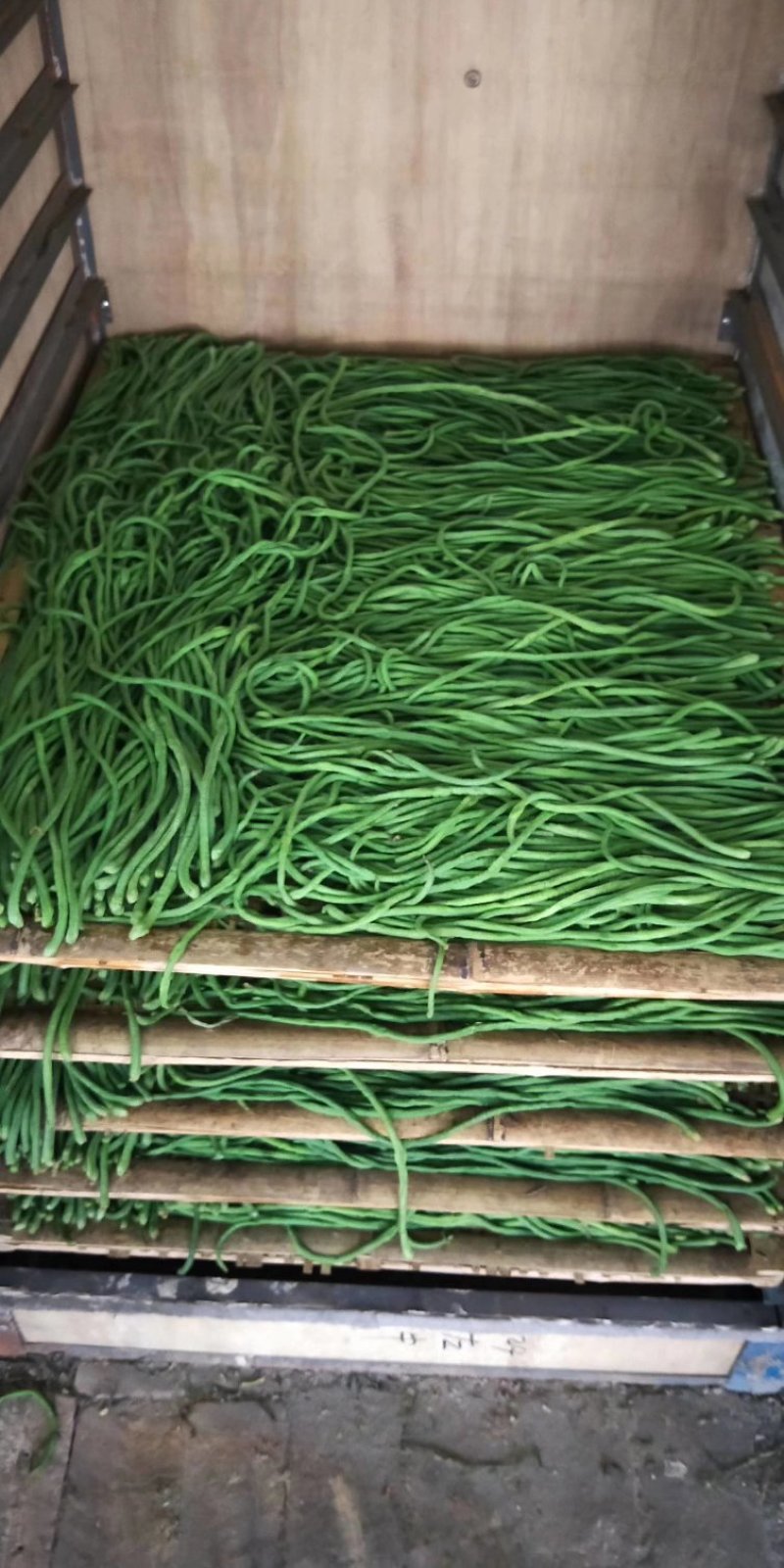 2020年烘干长豆角，长豇豆干豆角