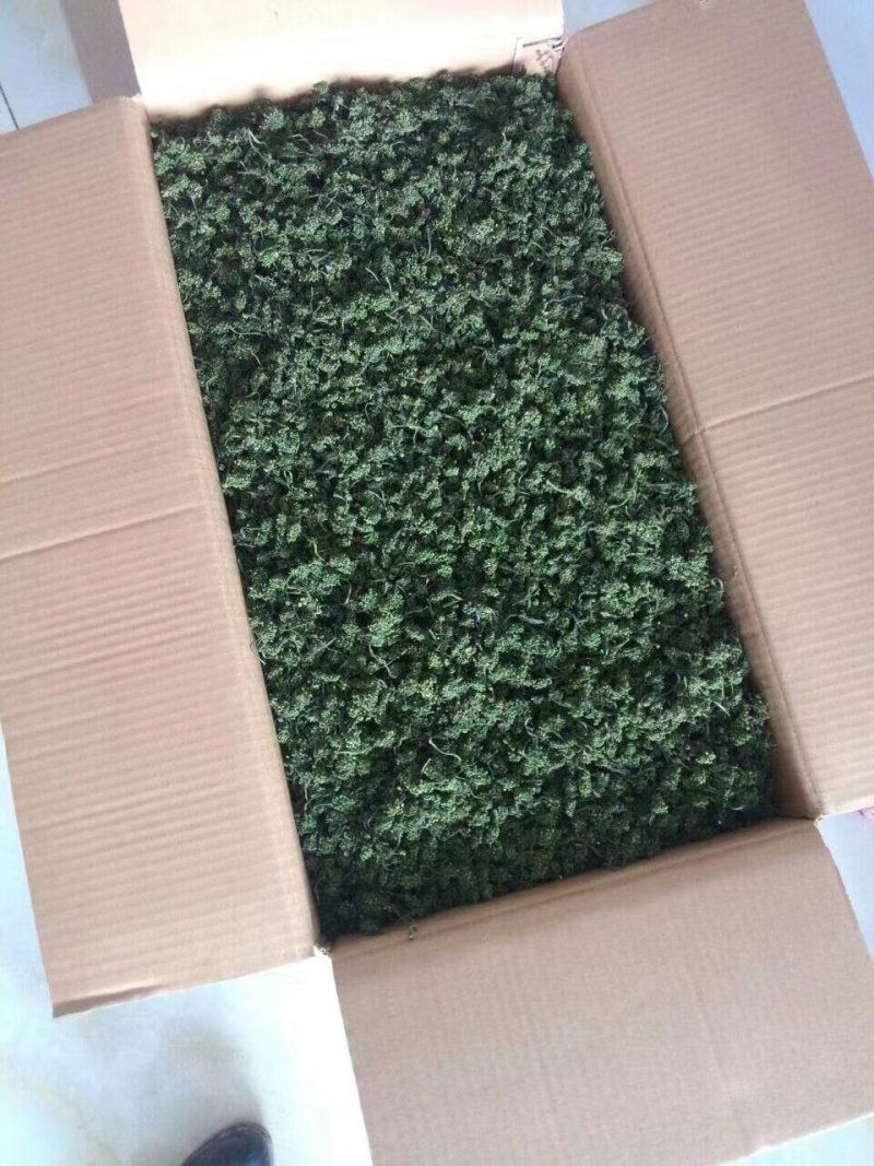 老御头六年根长白山人参花500g参农直批的泡茶煲汤都可
