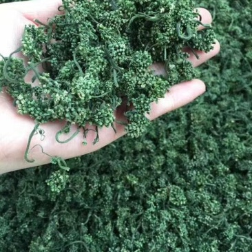 老御头六年根长白山人参花500g参农直批的泡茶煲汤都可