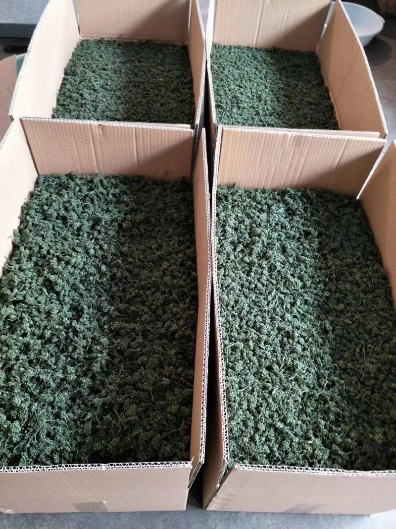 老御头六年根长白山人参花500g参农直批的泡茶煲汤都可