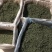 老御头六年根长白山人参花500g参农直批的泡茶煲汤都可