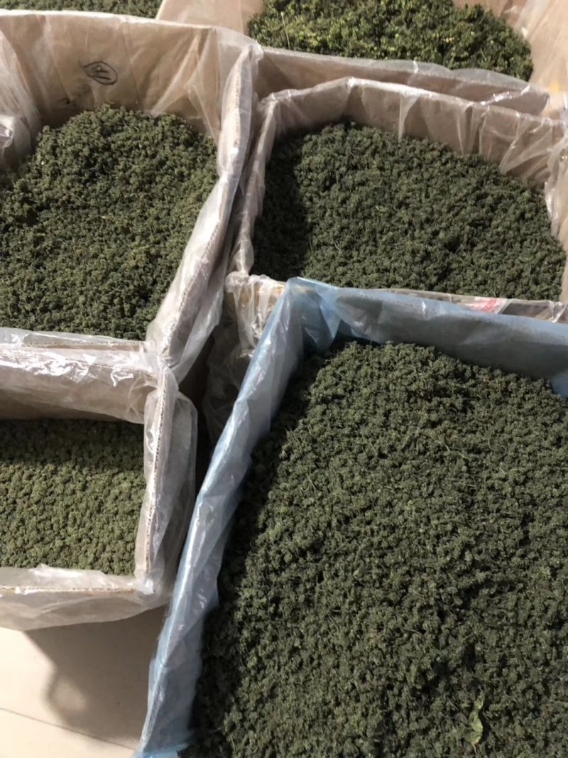 老御头六年根长白山人参花500g参农直批的泡茶煲汤都可