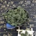 老御头六年根长白山人参花500g参农直批的泡茶煲汤都可