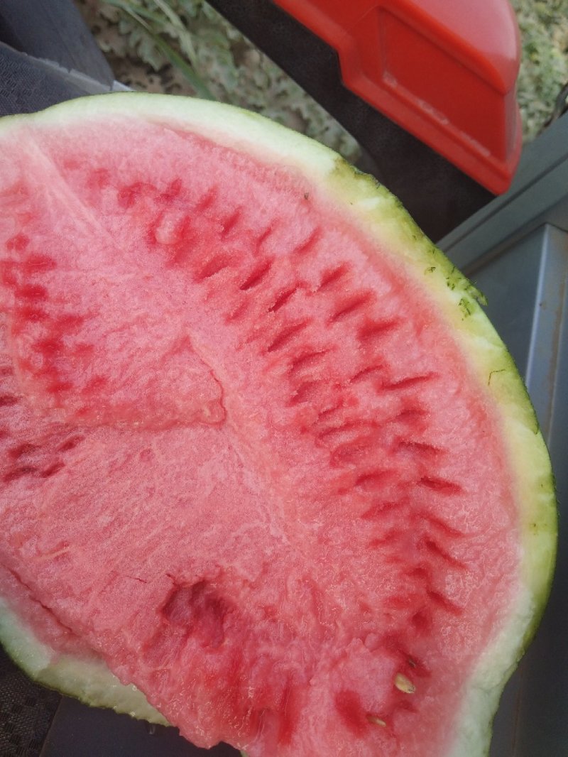 龙卷风大西瓜