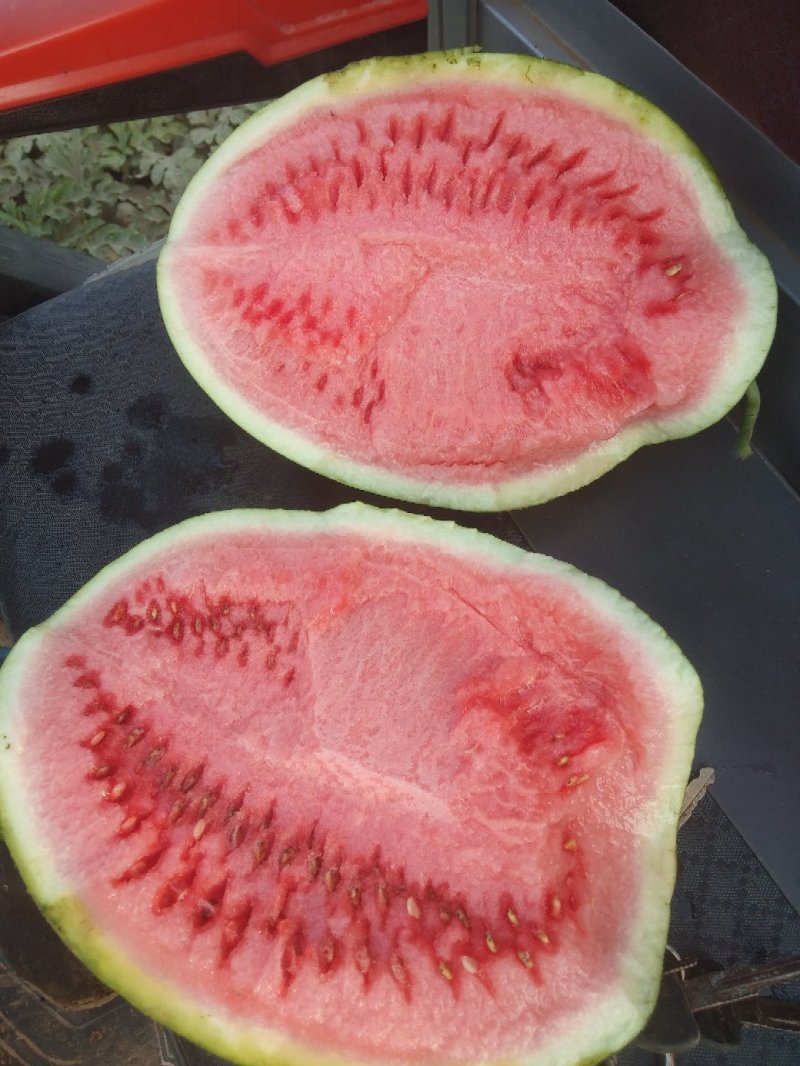 龙卷风大西瓜
