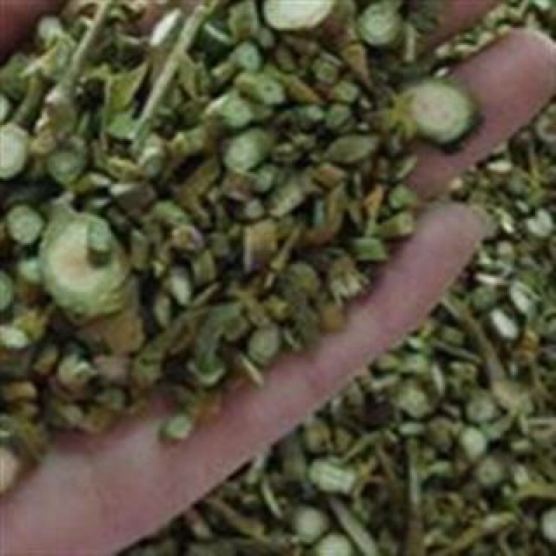 昌玉药业桑寄生产地直销质量保证