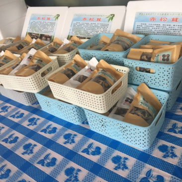 大球盖菇干品