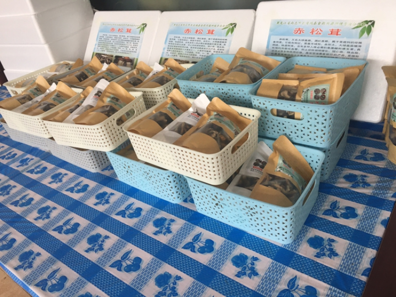 大球盖菇干品
