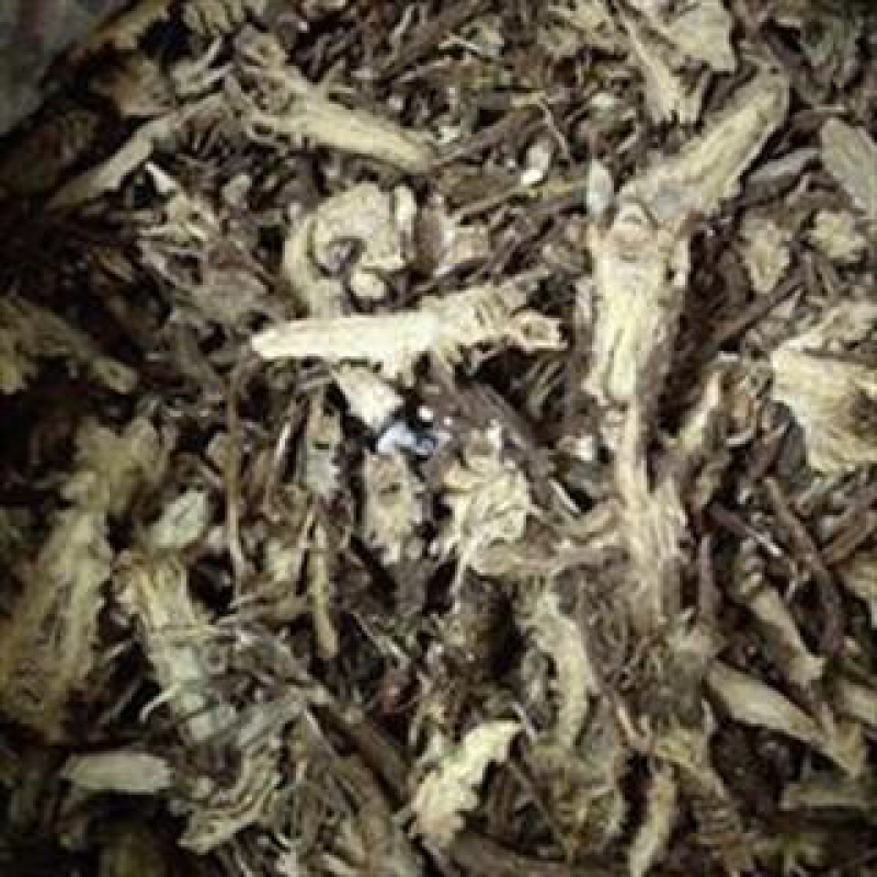 昌玉药业藁本产地直销质量保证