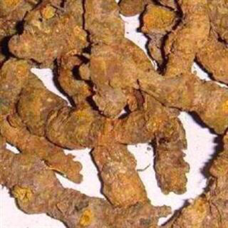 昌玉药业单只黄连可代打粉产地直销质量保证