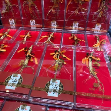 【特别推荐】特价精品林下参小礼盒，单支装，简洁大方