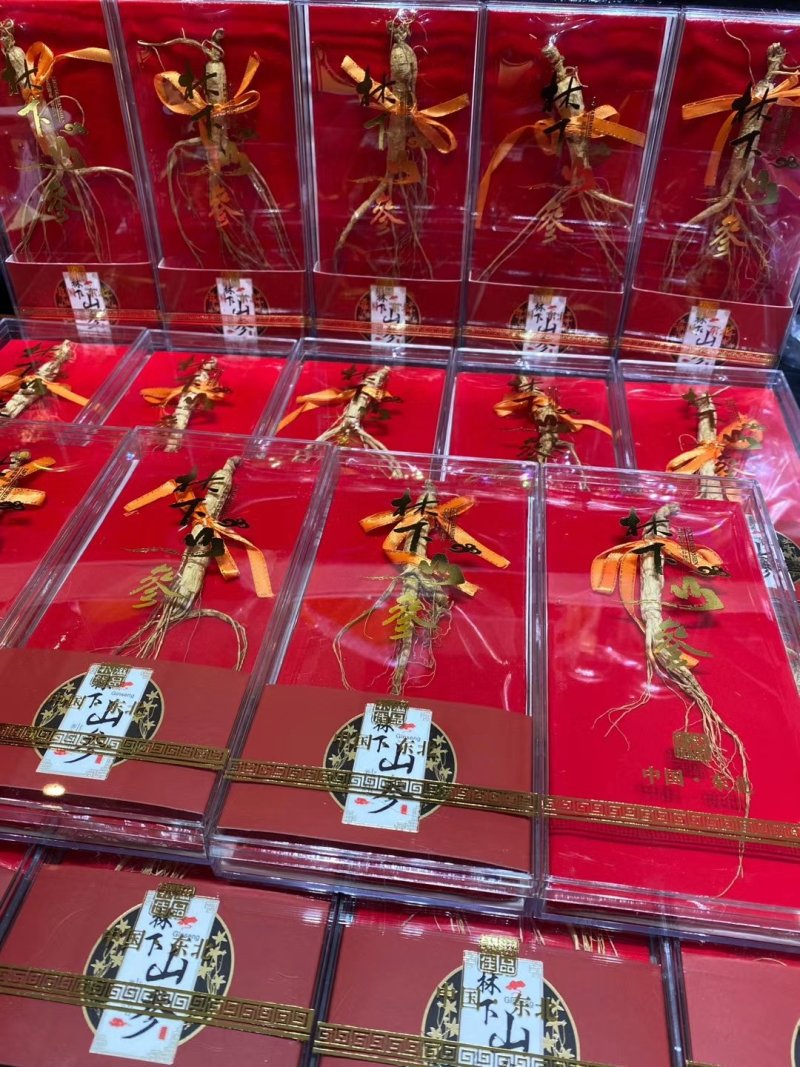 【特别推荐】特价精品林下参小礼盒，单支装，简洁大方