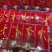 【特别推荐】特价精品林下参小礼盒，单支装，简洁大方