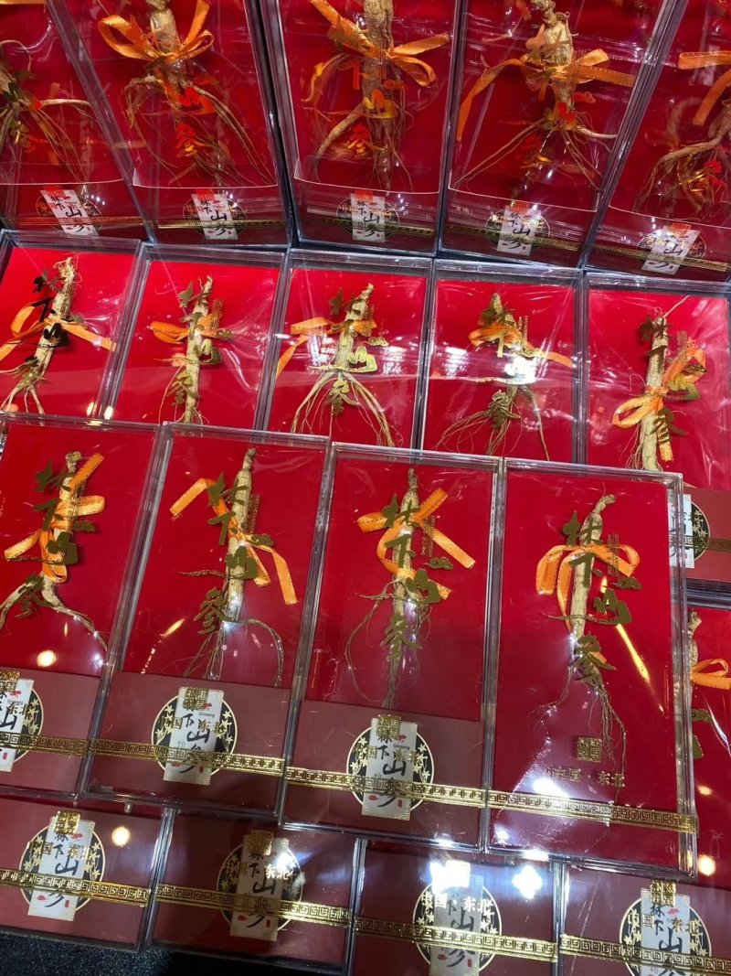【特别推荐】特价精品林下参小礼盒，单支装，简洁大方