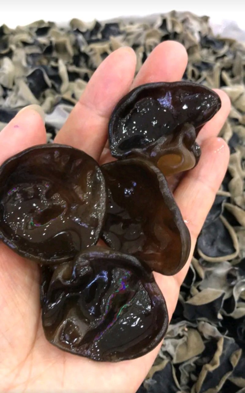 秋木耳厚耳质量非常好