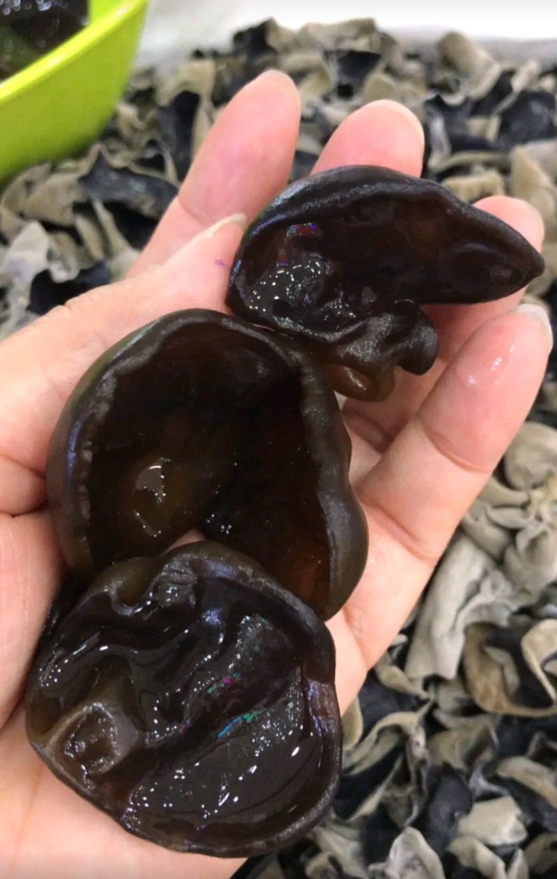 秋木耳厚耳质量非常好