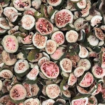 番石榴片【包邮】三斤起发货可批量可零售量大从优