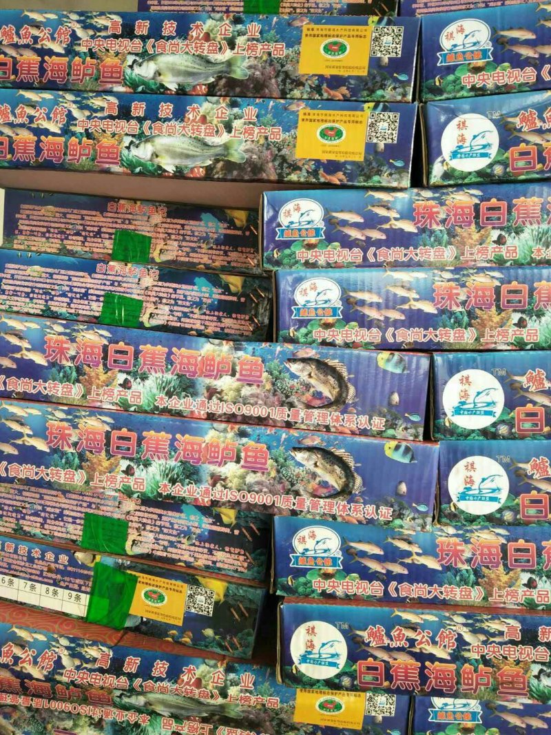 海鲈鱼厂家直销，质量很好