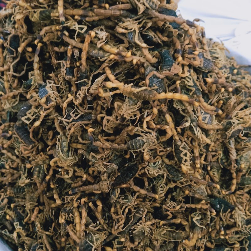 蝎子全蝎药用蝎子各种规格清水淡盐全虫