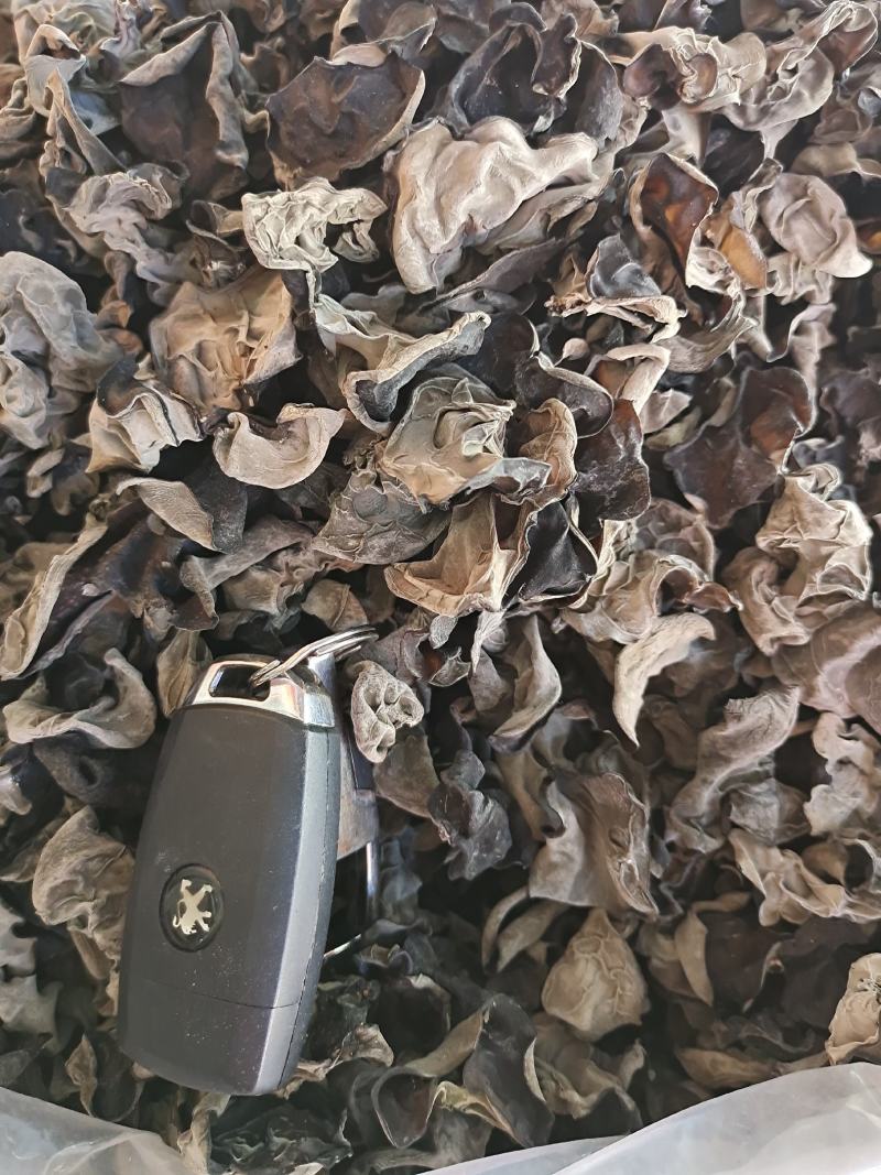 木耳，正宗青川黑木耳，椴木耳
