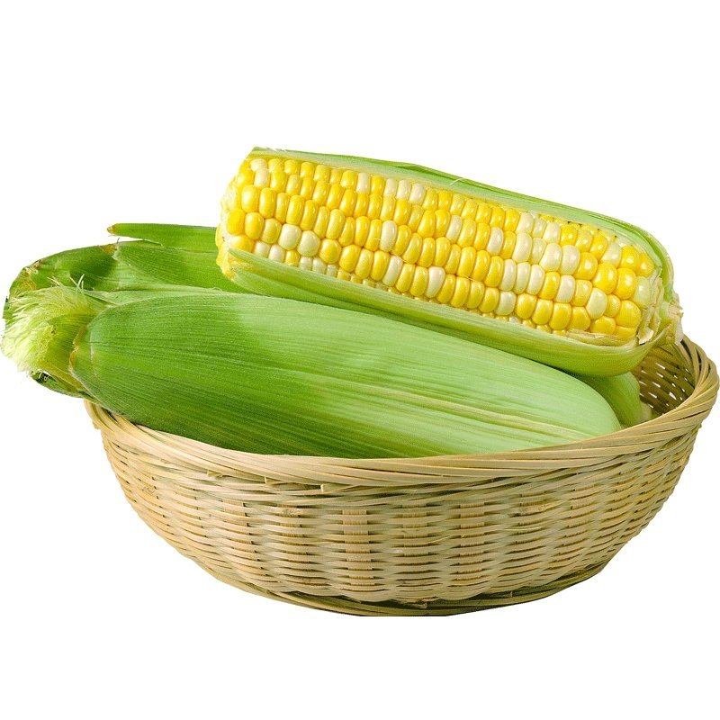 玉米