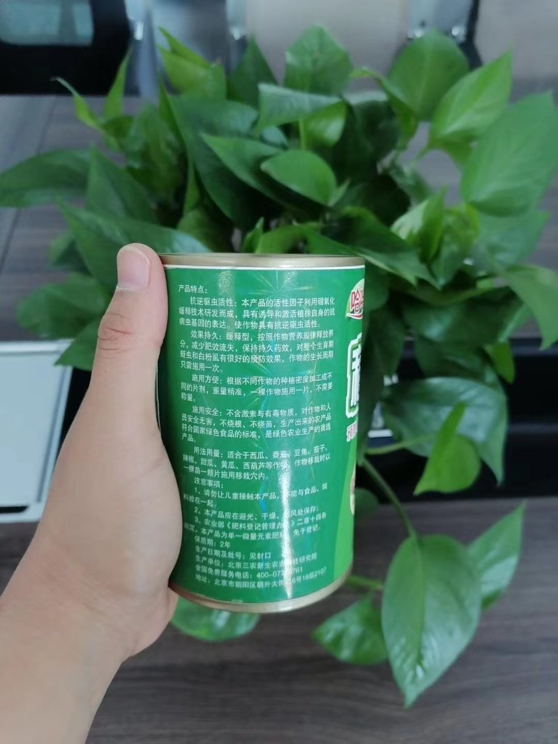 移栽片