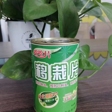 移栽片