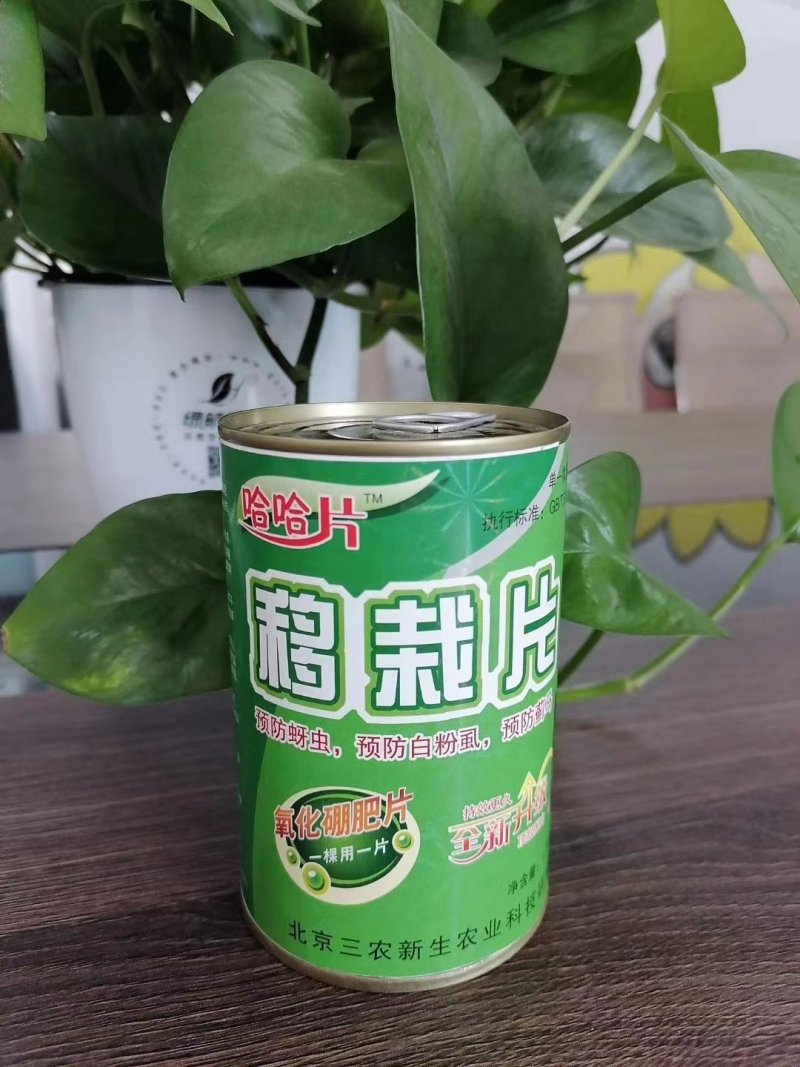移栽片
