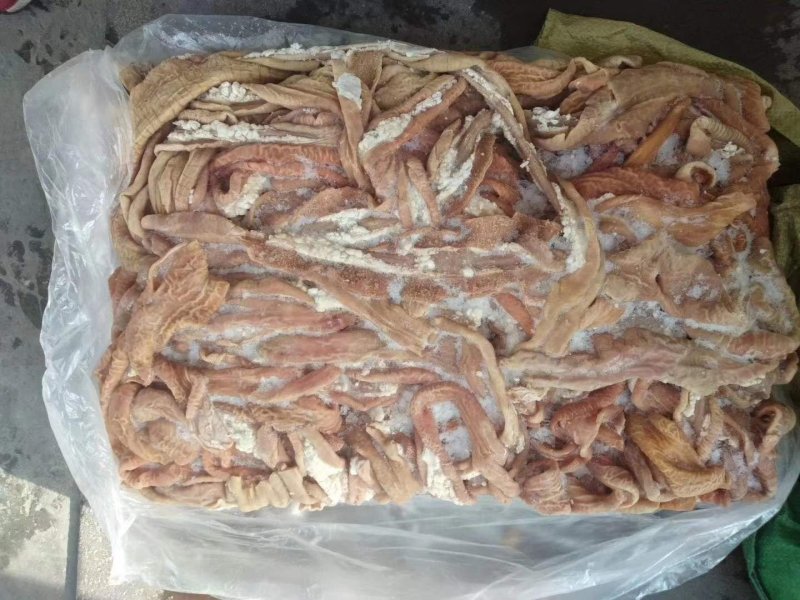 牛小肠