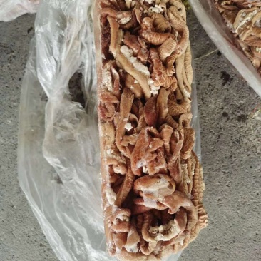 牛小肠