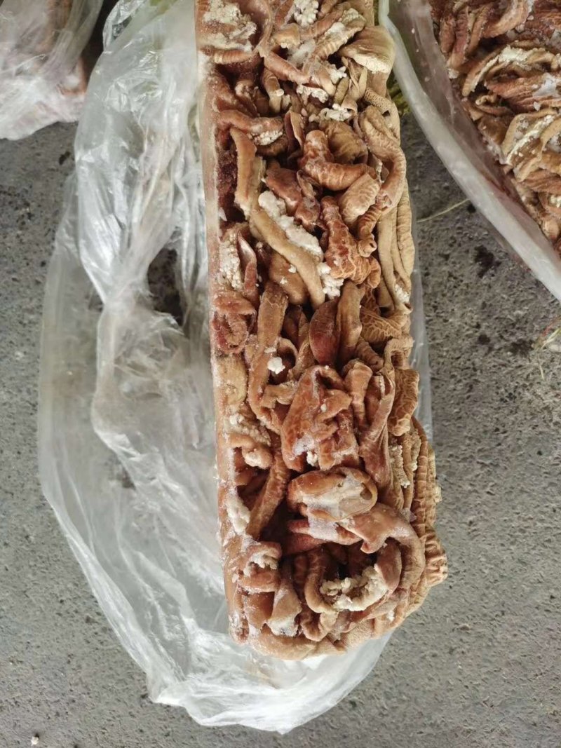 牛小肠
