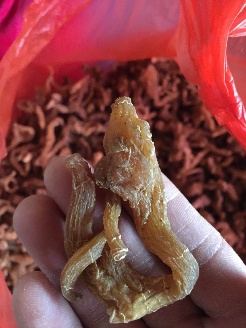 优质野生黄精大量供应产地直销支持视频看货量大从优