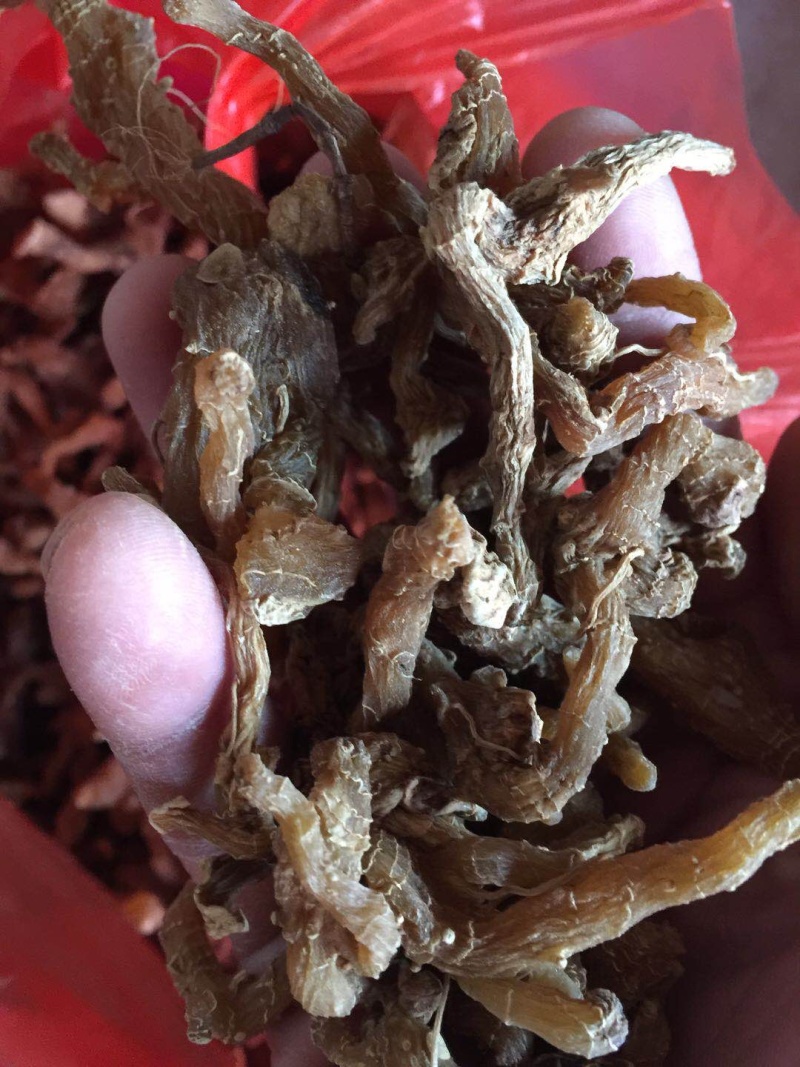 优质野生黄精大量供应产地直销支持视频看货量大从优