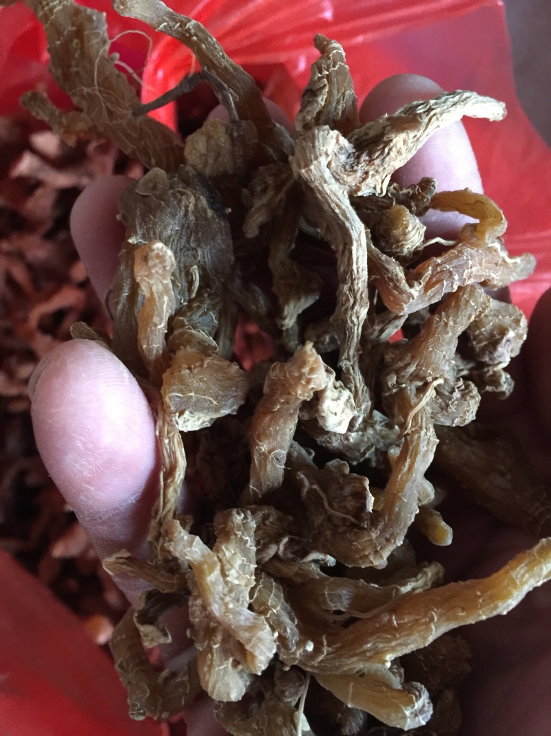 优质野生黄精大量供应产地直销支持视频看货量大从优