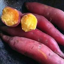 新鲜红薯地瓜海南小香薯一件5斤/10斤