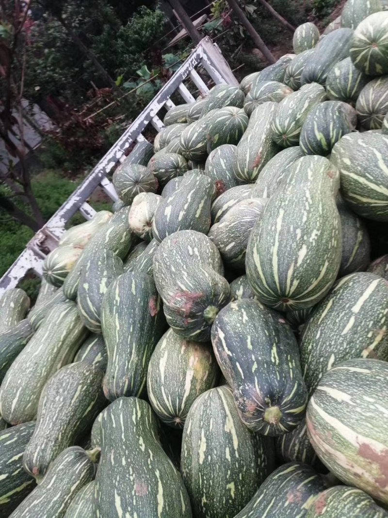 加工厂，养殖用都可以