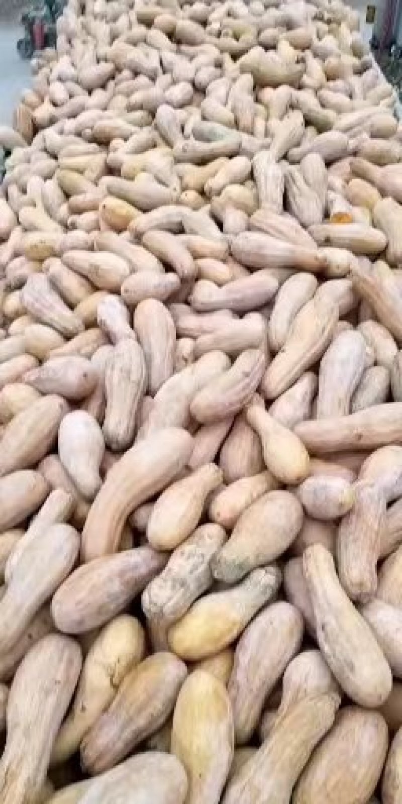 加工厂，养殖用都可以