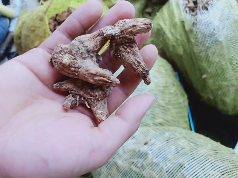 出售干白芨