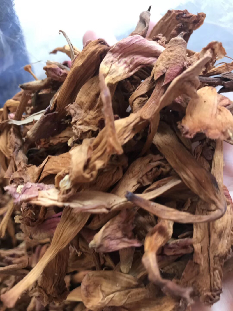 凌霄花【包邮】三斤起发货可批量可零售量大从优