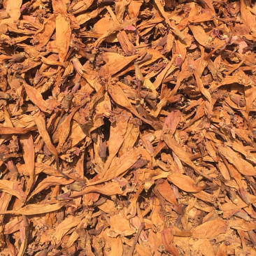 凌霄花【包邮】三斤起发货可批量可零售量大从优